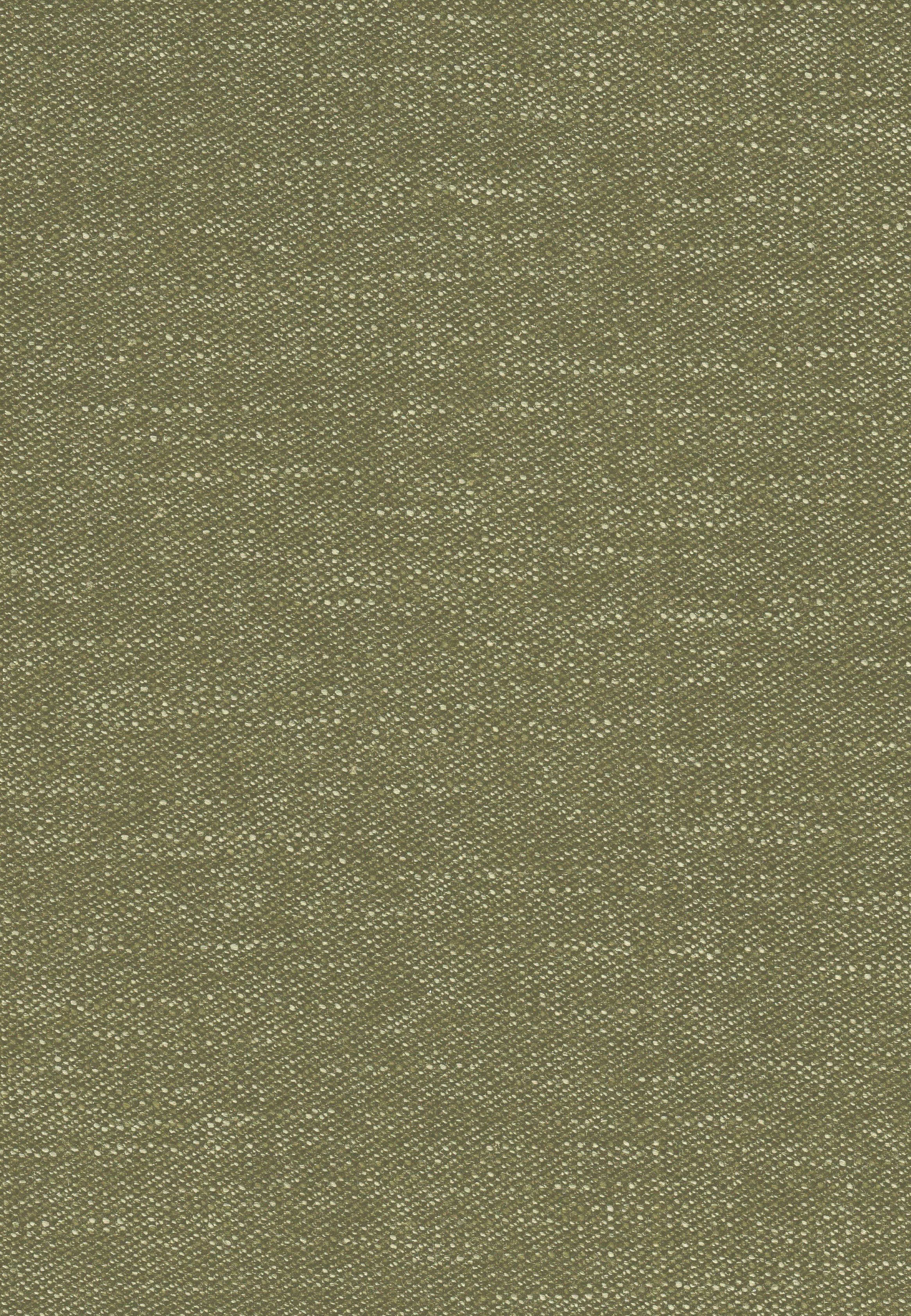 Padova C/808